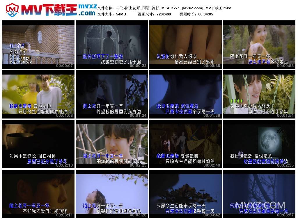 牛飞-陌上花开_国语_流行_MEA01271